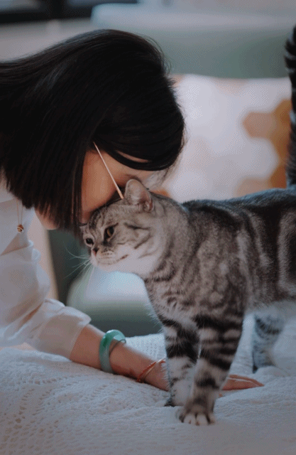 Tự do tài chính cho phụ nữ: Hành trình Sở hữu nhà và tìm lại bản thân - Ảnh 4.