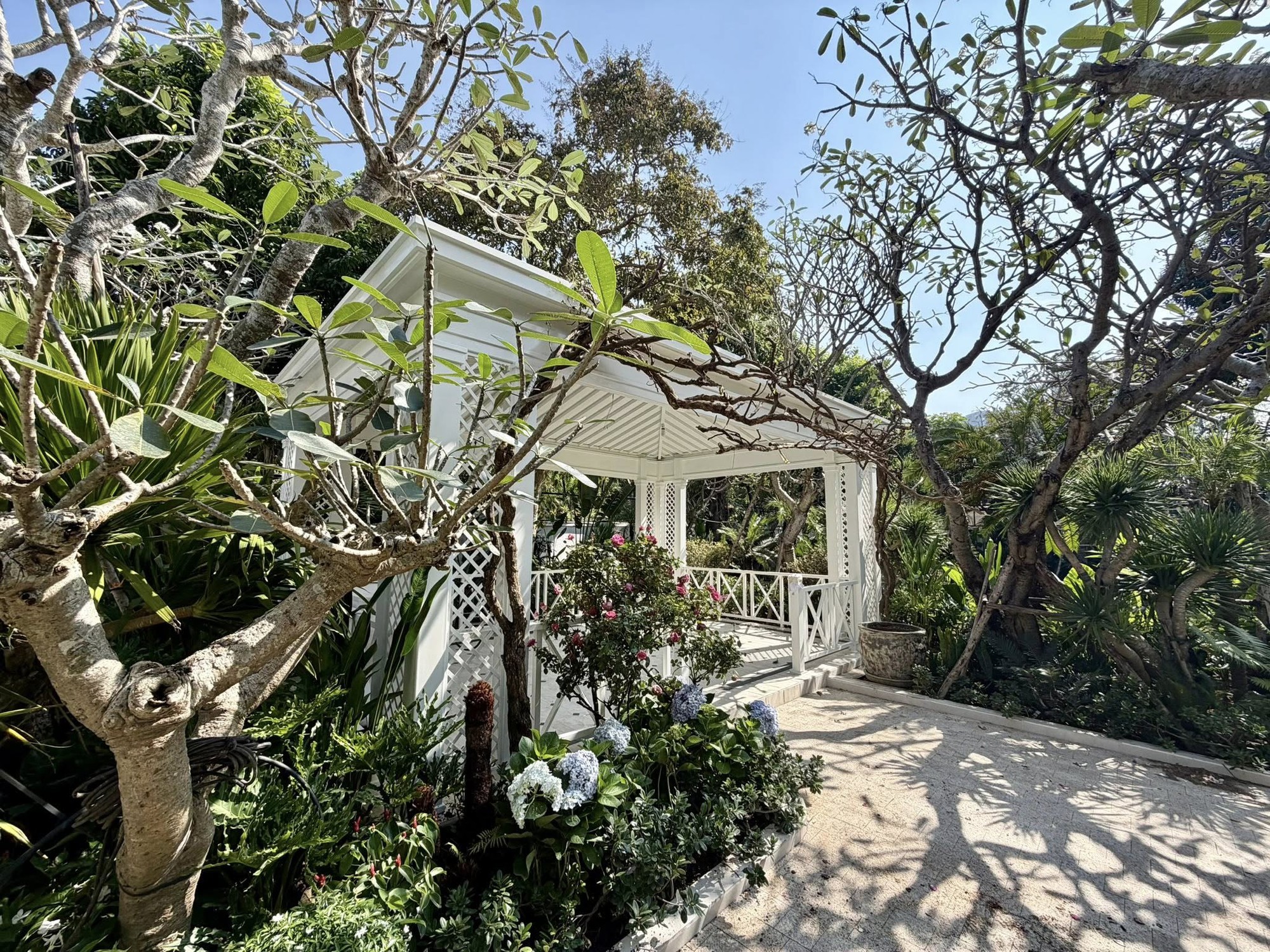 Chuyện gì đang xảy ra với NTK Đỗ Mạnh Cường?- Ảnh 8. Chuyện gì đang xảy ra với NTK Đỗ Mạnh Cường?- Ảnh 8.