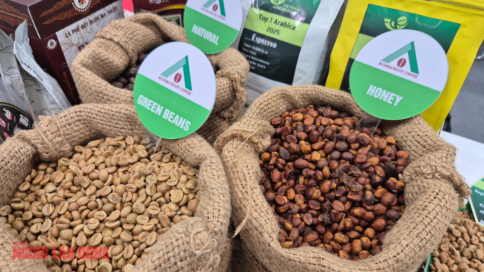 Giá cà phê hôm nay 1-1: Cao nhất 10 ngày qua - Ảnh 1.