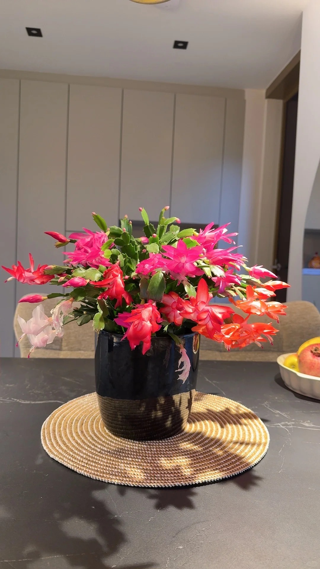 Cách chăm sóc lan càng cua để hoa nở rực rỡ ngày Tết - Ảnh 19.