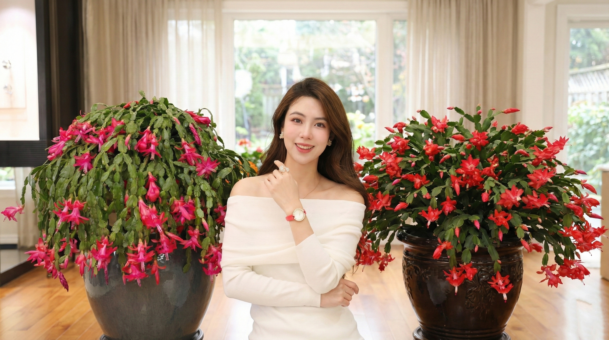 Cách chăm sóc lan càng cua để hoa nở rực rỡ ngày Tết - Ảnh 1.