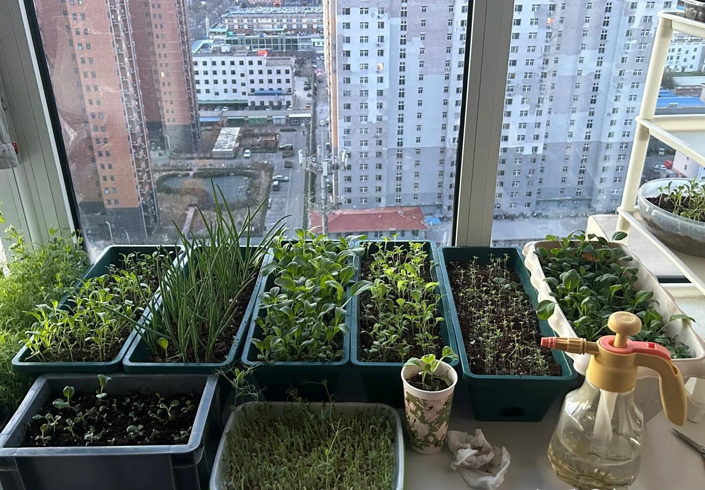 Tôi sững người trước lối sống tối giản của người phụ nữ 57 tuổi: Không phô trương, không nghèo khó - chỉ có một chiến lược tài chính bền bỉ khiến ai cũng nể- Ảnh 1. Tôi sững người trước lối sống tối giản của người phụ nữ 57 tuổi: Không phô trương, không nghèo khó - chỉ có một chiến lược tài chính bền bỉ khiến ai cũng nể- Ảnh 1.