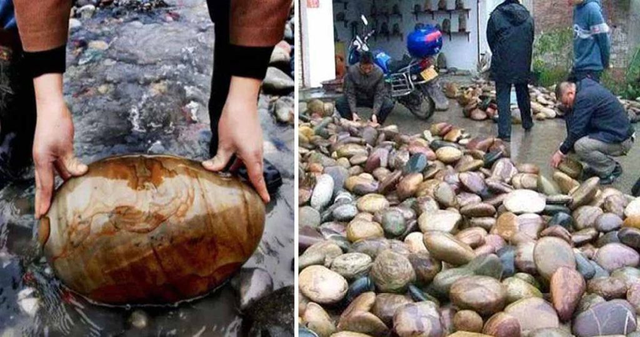 Lạ lùng ra suối nhặt thứ tưởng bỏ đi về bán, dân làng kiếm "chơi chơi" hơn 72 tỷ đồng/năm - Ảnh 1.