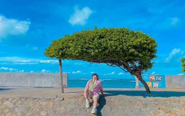 Một đảo miền Trung Việt Nam được vinh danh ngay đầu năm 2026, báo Thái nhận xét: "Đẹp như phim điện ảnh!" - Ảnh 12.