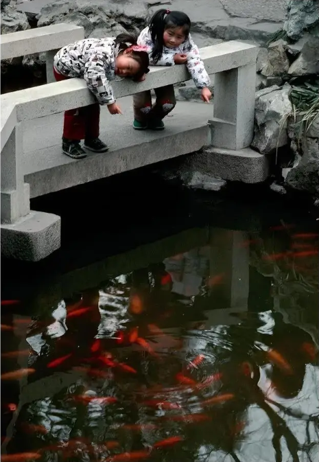 Ảnh cũ Thượng Hải thập niên 1980: Phương tiện này thống trị đường phố, có nơi 40 năm chưa hề khác - Ảnh 20.