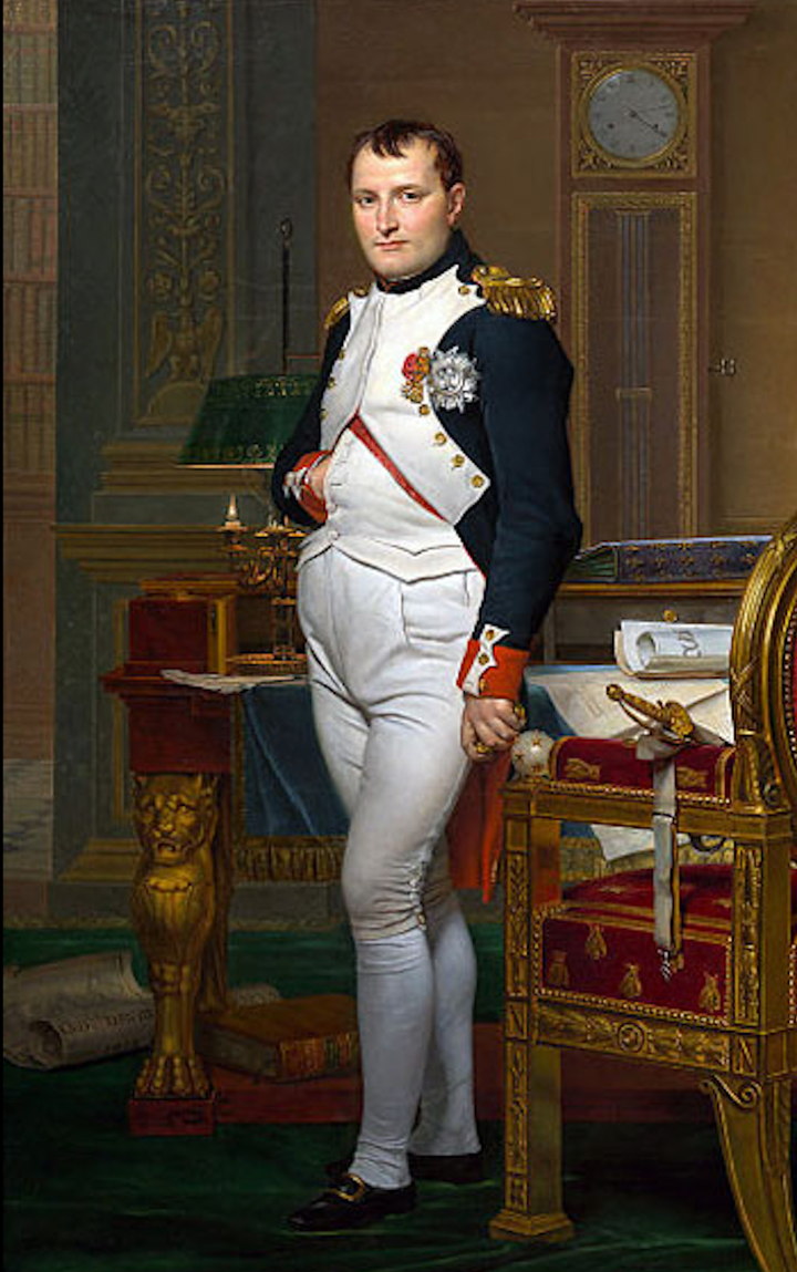 Napoleon Bonaparte: Từ thiếu niên bị bắt nạt đến thiên tài quân sự nổi bật - Ảnh 1. Napoleon Bonaparte: Từ thiếu niên bị bắt nạt đến thiên tài quân sự nổi bật - Ảnh 1.