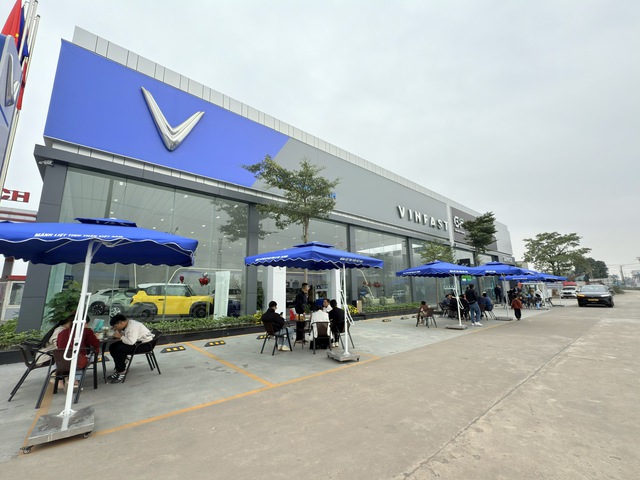 Một công ty phân phối ô tô VinFast đạt doanh thu hàng trăm tỷ đồng chỉ sau 4 tháng thành lập- Ảnh 1.