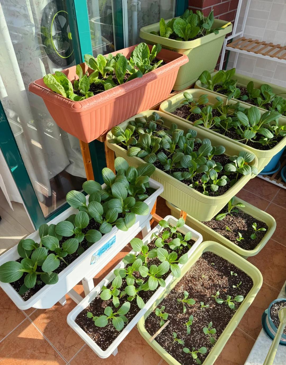 Người phụ nữ 50 tuổi sống đủ đầy không tốn tiền: Bài học về sự gọn gàng - Ảnh 2. Người phụ nữ 50 tuổi sống đủ đầy không tốn tiền: Bài học về sự gọn gàng - Ảnh 2.