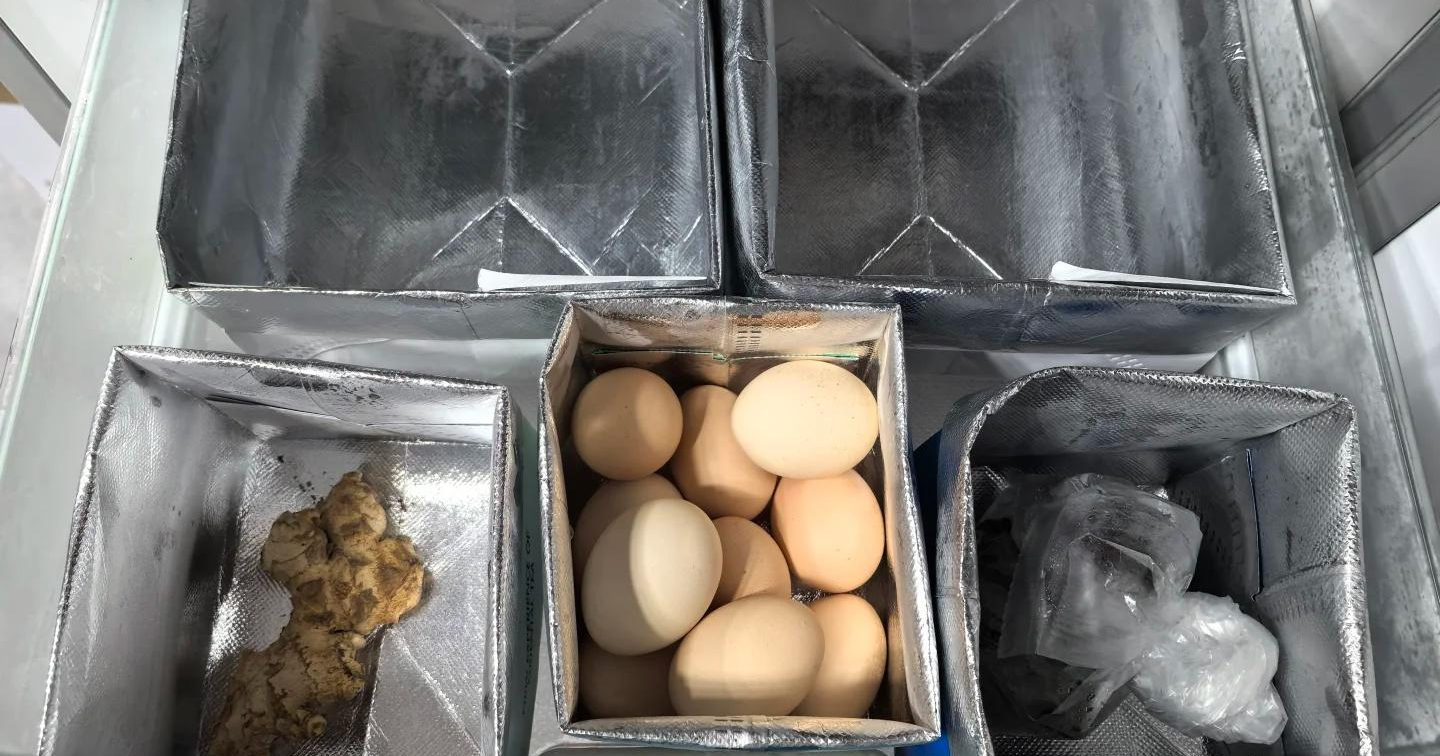 Người phụ nữ 50 tuổi sống đủ đầy không tốn tiền: Bài học về sự gọn gàng - Ảnh 4. Người phụ nữ 50 tuổi sống đủ đầy không tốn tiền: Bài học về sự gọn gàng - Ảnh 4.