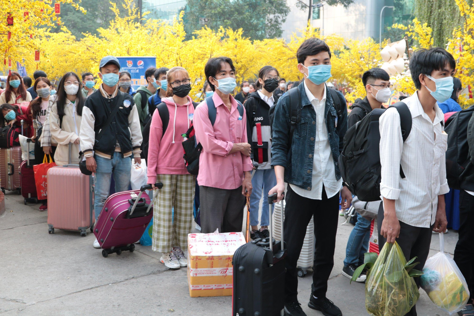 Giá vé máy bay Tết cao chót vót khiến gia đình trẻ đau đầu về quê ăn Tết - Ảnh 2. Giá vé máy bay Tết cao chót vót khiến gia đình trẻ đau đầu về quê ăn Tết - Ảnh 2.