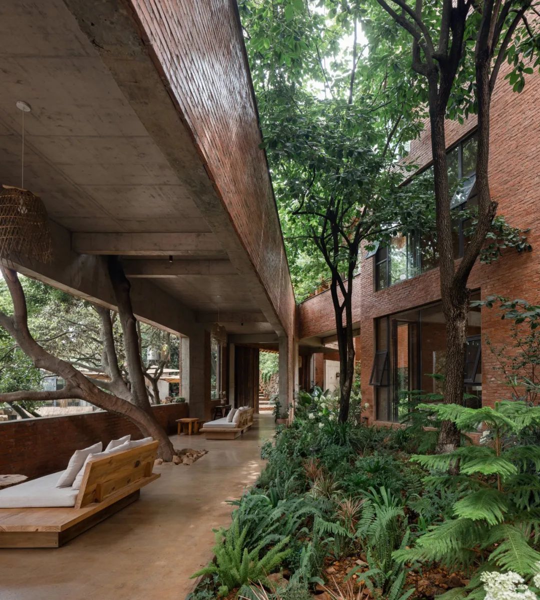 Dùng sạch tiền tiết kiệm để xây nhà: Lời khuyên cho cuộc sống ổn định hơn - Ảnh 2.