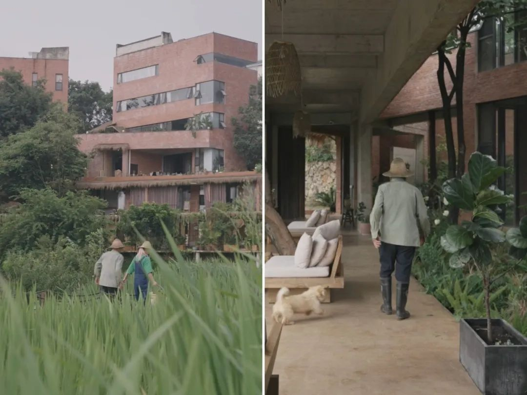 Dùng sạch tiền tiết kiệm để xây nhà: Lời khuyên cho cuộc sống ổn định hơn - Ảnh 19.