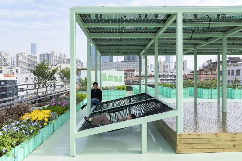 Cư dân thuê 1m² sân thượng để trồng rau: Xu hướng “nông dân đô thị” giúp tiết kiệm tiền ăn và sống xanh giữa thành phố bê tông- Ảnh 7.