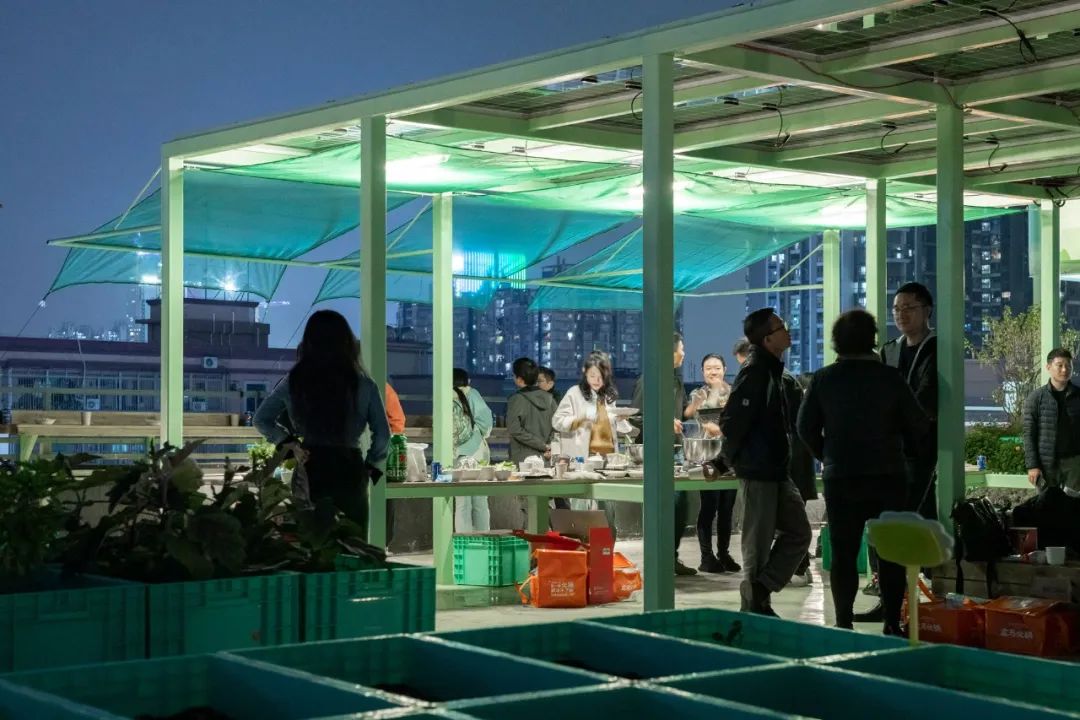 Cư dân thuê 1m² sân thượng để trồng rau: Xu hướng “nông dân đô thị” giúp tiết kiệm tiền ăn và sống xanh giữa thành phố bê tông- Ảnh 6.