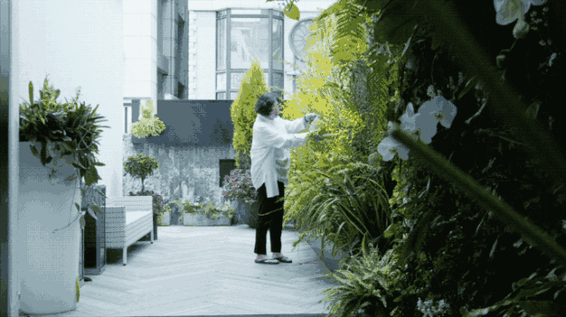 Con cái ra riêng, cặp vợ chồng trung niên bỏ 35 tỷ cải tạo nhà thành viện dưỡng lão tại gia cho chính mình- Ảnh 3.