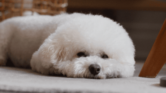 Bỏ 75 triệu/tháng thuê nhà, không kết hôn: Người phụ nữ 37 tuổi chọn "an toàn tài chính" theo cách không giống ai - Ảnh 5.