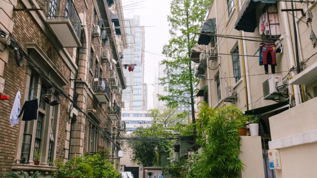 Bỏ 75 triệu/tháng thuê nhà, không kết hôn: Người phụ nữ 37 tuổi chọn "an toàn tài chính" theo cách không giống ai - Ảnh 4.