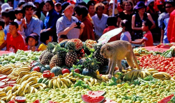 Buffet khỉ độc đáo tại Lopburi: Trải nghiệm du lịch Thái Lan không thể bỏ lỡ - Ảnh 1. Buffet khỉ độc đáo tại Lopburi: Trải nghiệm du lịch Thái Lan không thể bỏ lỡ - Ảnh 1.
