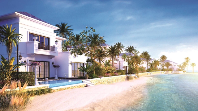 Shark Phú dự báo 