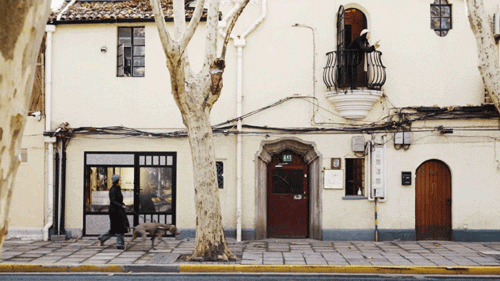 Thuê nhà nhỏ vẫn sống như biệt thự: Mẹ đơn thân biến ban công - sân hẹp thành khu vườn xanh mướt- Ảnh 24.