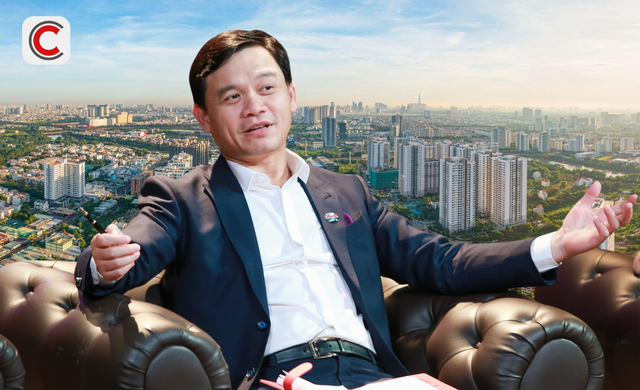 Shark Phú dự báo 