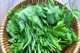 3 món "rau vàng" này cực tốt để ăn trước Tết: Dễ nấu lại bổ dương, dưỡng ẩm cho làn da, tăng cường miễn dịch - Ảnh 6.