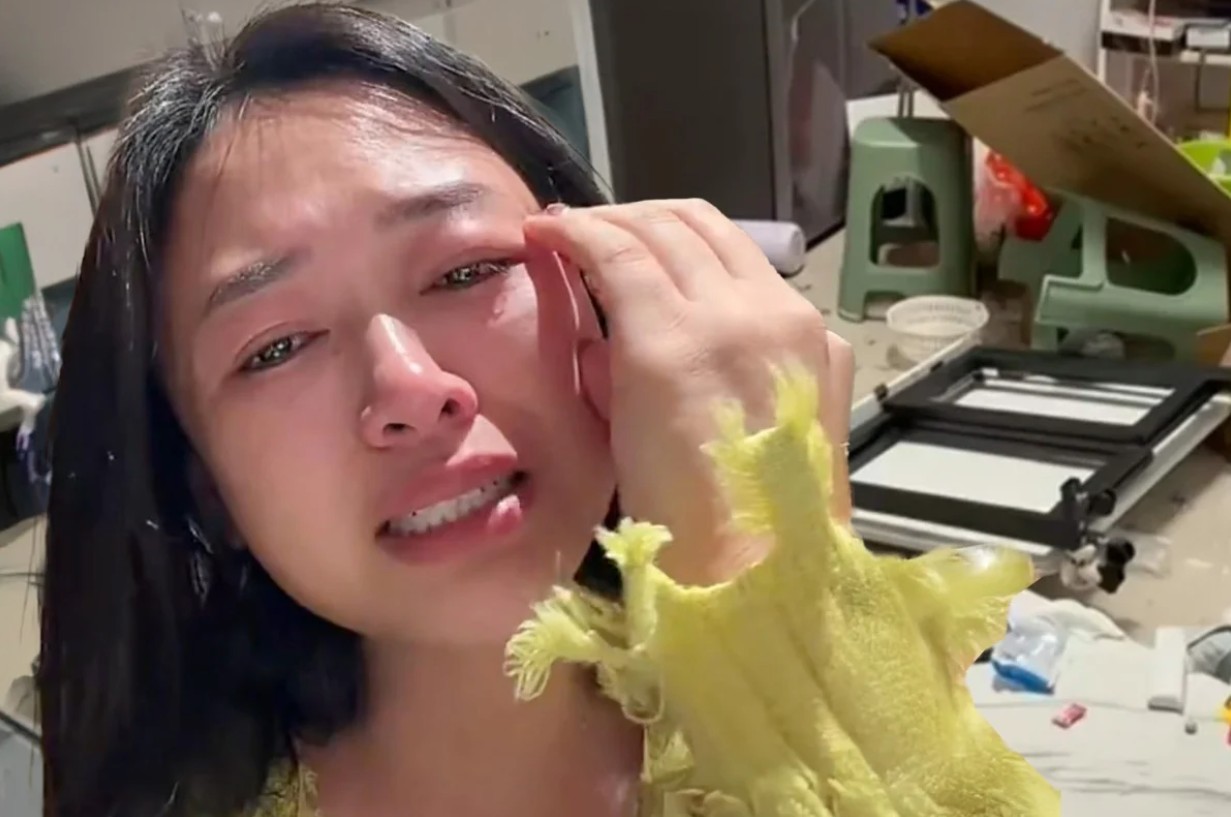 Ở nhà làm nội trợ, người phụ nữ bị chồng bạo lực vì dám mua máy rửa bát giá 5 triệu mà không xin phép