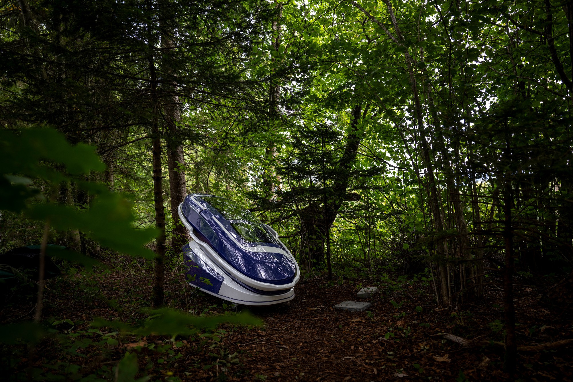 Tranh cãi về buồng tự sát Sarco và vai trò của AI trong y tế - Ảnh 3. Tranh cãi về buồng tự sát Sarco và vai trò của AI trong y tế - Ảnh 3.