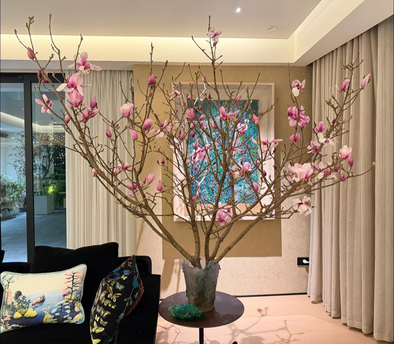 Loài hoa Tết hot nhất năm 2026: Nhà nhà, người người đều muốn rước về nhà, ai chơi được có thể sĩ cả đời - Ảnh 4. Loài hoa Tết hot nhất năm 2026: Nhà nhà, người người đều muốn rước về nhà, ai chơi được có thể sĩ cả đời - Ảnh 4.