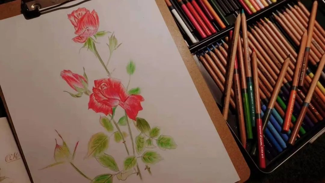 BTV Chu Diệu rời đài truyền hình để sống một mình hạnh phúc và tìm lại chính mình - Ảnh 13.