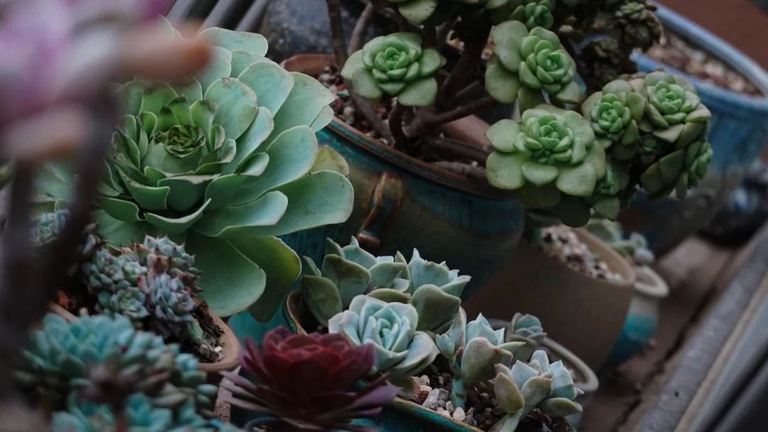 BTV Chu Diệu rời đài truyền hình để sống một mình hạnh phúc và tìm lại chính mình - Ảnh 7.