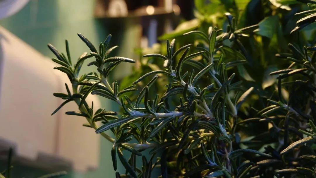 BTV Chu Diệu rời đài truyền hình để sống một mình hạnh phúc và tìm lại chính mình - Ảnh 10.