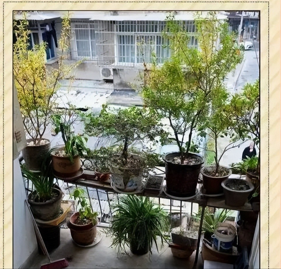 Chi phí duy trì căn hộ: Cái giá của cuộc sống hiện đại và sự trở về bình yên - Ảnh 2. Chi phí duy trì căn hộ: Cái giá của cuộc sống hiện đại và sự trở về bình yên - Ảnh 2.