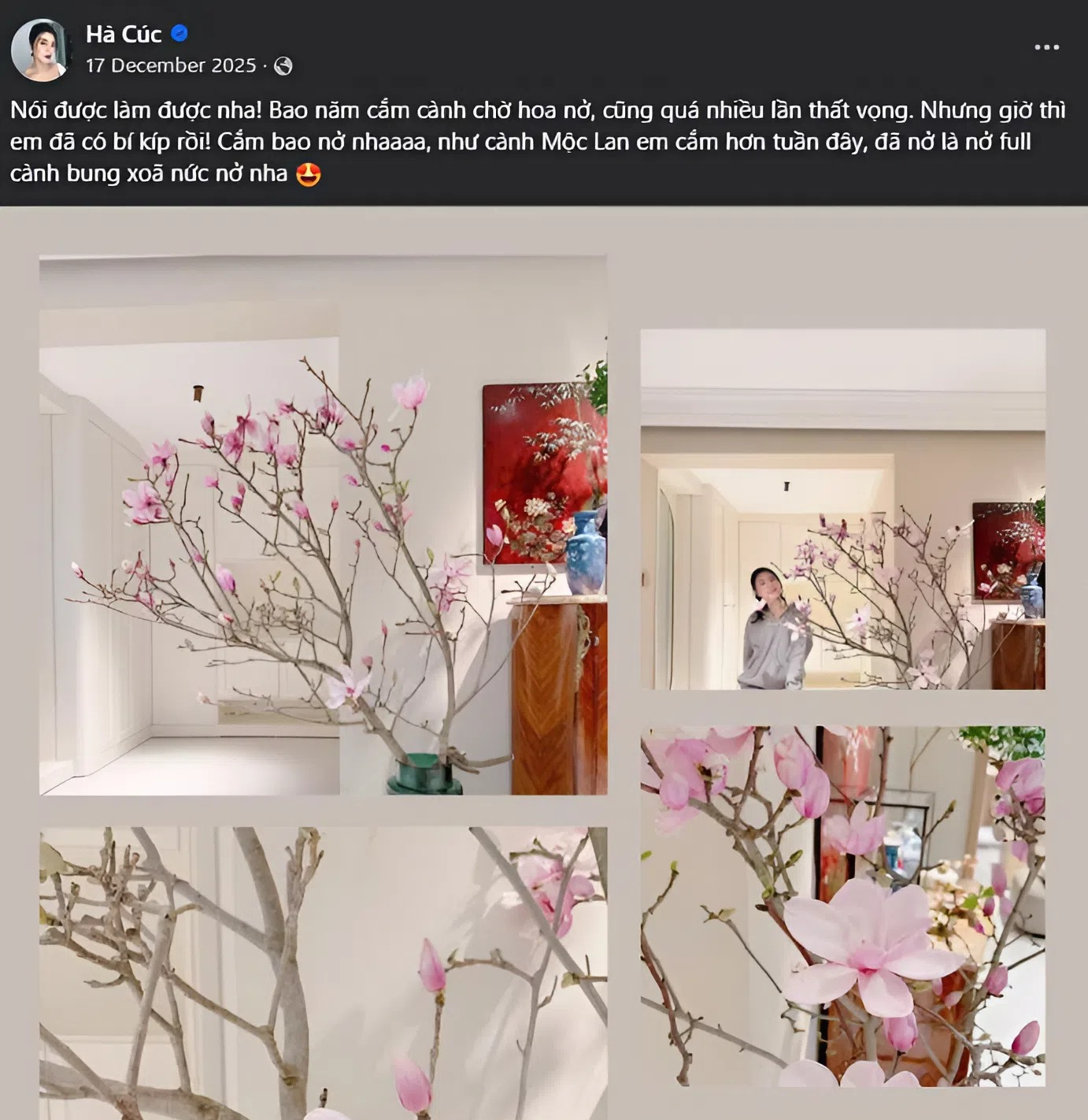 Loài hoa Tết hot nhất năm 2026: Nhà nhà, người người đều muốn rước về nhà, ai chơi được có thể sĩ cả đời - Ảnh 8. Loài hoa Tết hot nhất năm 2026: Nhà nhà, người người đều muốn rước về nhà, ai chơi được có thể sĩ cả đời - Ảnh 8.