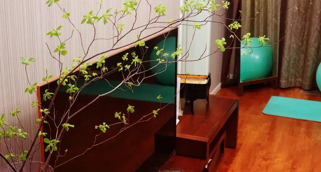 BTV Chu Diệu rời đài truyền hình để sống một mình hạnh phúc và tìm lại chính mình - Ảnh 14.