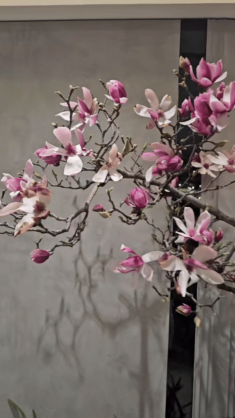 Loài hoa Tết hot nhất năm 2026: Nhà nhà, người người đều muốn rước về nhà, ai chơi được có thể sĩ cả đời - Ảnh 6. Loài hoa Tết hot nhất năm 2026: Nhà nhà, người người đều muốn rước về nhà, ai chơi được có thể sĩ cả đời - Ảnh 6.