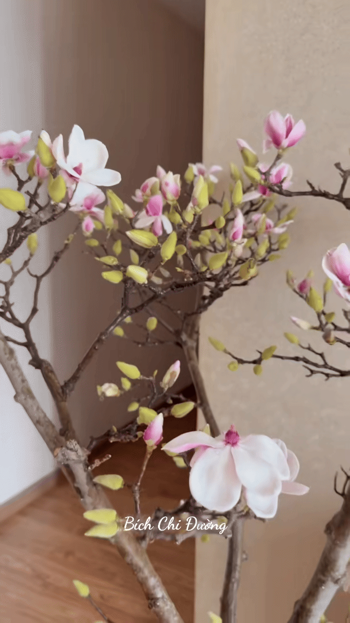 Loài hoa Tết hot nhất năm 2026: Nhà nhà, người người đều muốn rước về nhà, ai chơi được có thể sĩ cả đời - Ảnh 7. Loài hoa Tết hot nhất năm 2026: Nhà nhà, người người đều muốn rước về nhà, ai chơi được có thể sĩ cả đời - Ảnh 7.