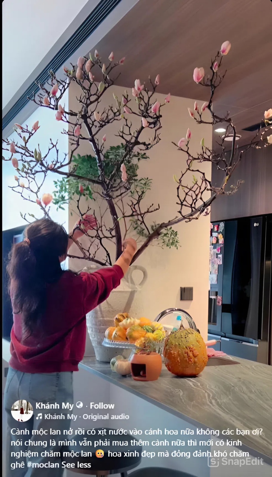 Loài hoa Tết hot nhất năm 2026: Nhà nhà, người người đều muốn rước về nhà, ai chơi được có thể sĩ cả đời - Ảnh 9. Loài hoa Tết hot nhất năm 2026: Nhà nhà, người người đều muốn rước về nhà, ai chơi được có thể sĩ cả đời - Ảnh 9.