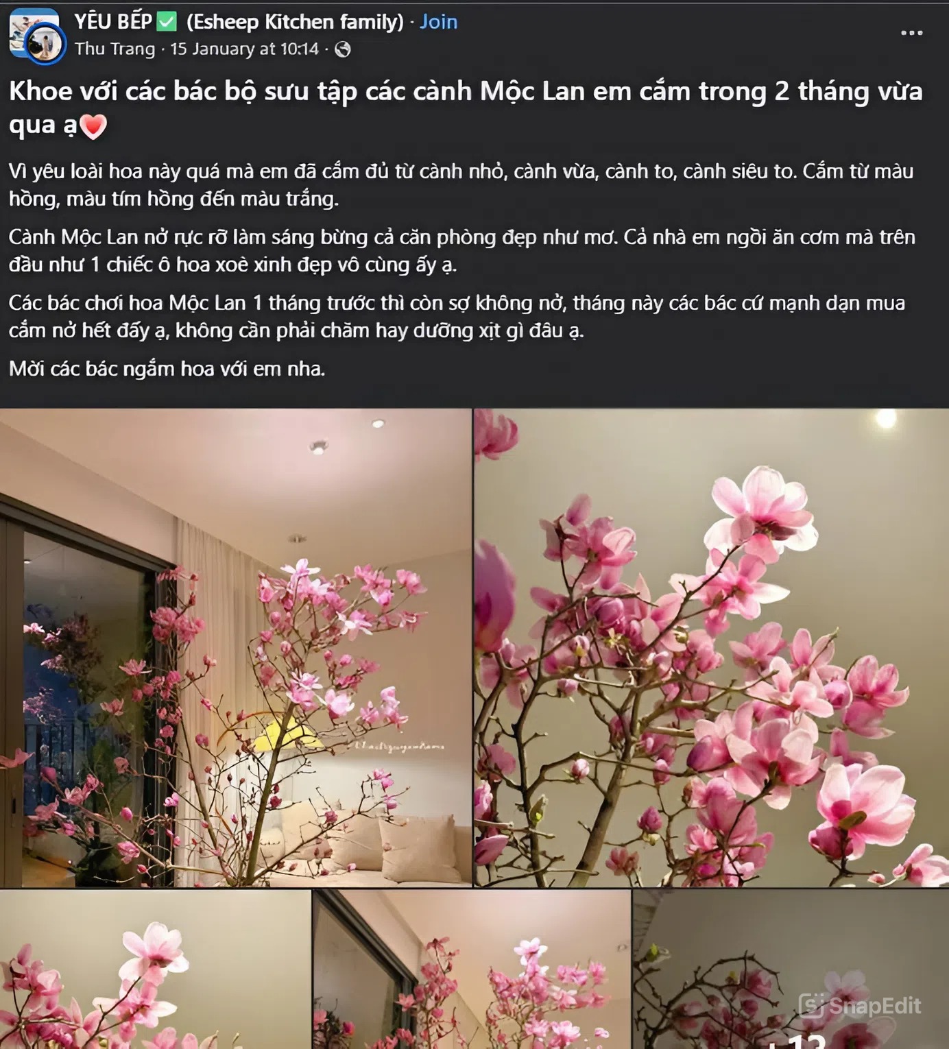 Loài hoa Tết hot nhất năm 2026: Nhà nhà, người người đều muốn rước về nhà, ai chơi được có thể sĩ cả đời - Ảnh 10. Loài hoa Tết hot nhất năm 2026: Nhà nhà, người người đều muốn rước về nhà, ai chơi được có thể sĩ cả đời - Ảnh 10.