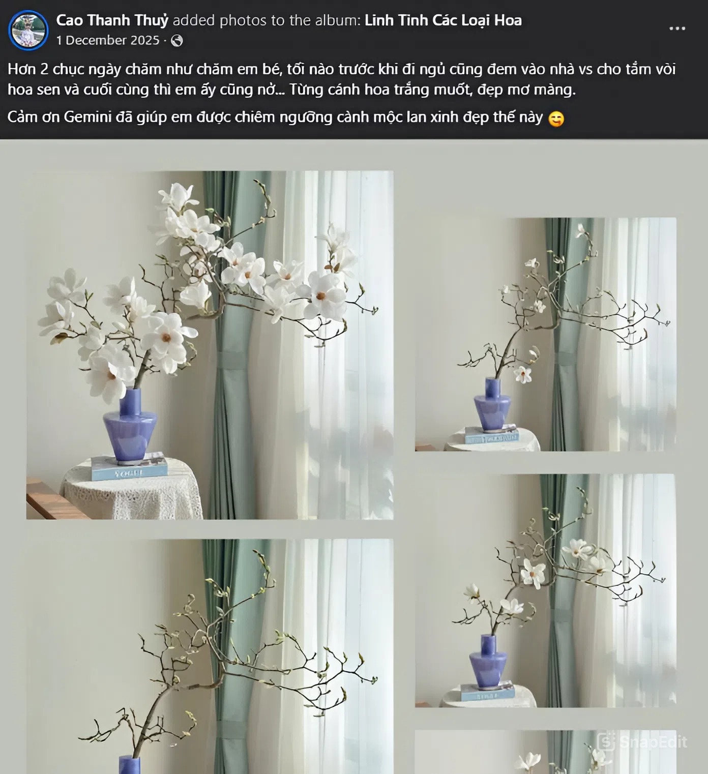 Loài hoa Tết hot nhất năm 2026: Nhà nhà, người người đều muốn rước về nhà, ai chơi được có thể sĩ cả đời - Ảnh 11. Loài hoa Tết hot nhất năm 2026: Nhà nhà, người người đều muốn rước về nhà, ai chơi được có thể sĩ cả đời - Ảnh 11.