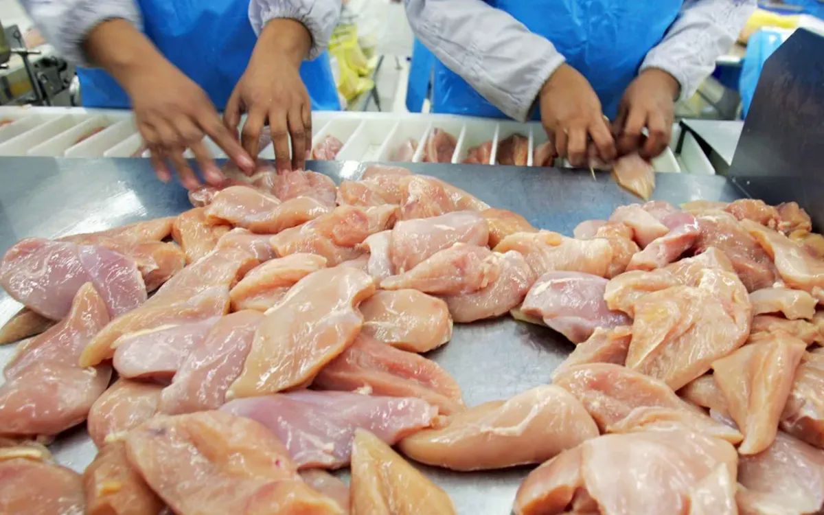 Mỹ thu hồi thịt gà tại 7 tiểu bang do nghi ngờ nhiễm khuẩn listeria - Ảnh 1.