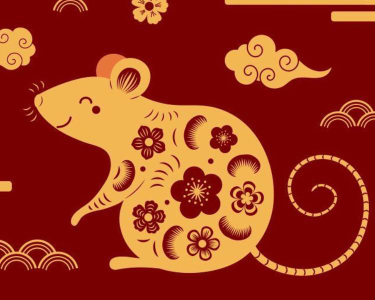 4 con giáp có sự nghiệp bứt phá, tài lộc khởi sắc, gặp nhiều may mắn trong năm Bính Ngọ 2026- Ảnh 1. 4 con giáp có sự nghiệp bứt phá, tài lộc khởi sắc, gặp nhiều may mắn trong năm Bính Ngọ 2026- Ảnh 1.