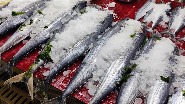 Người sành ăn khi mua cá thường chỉ chọn 5 loại cá biển này: Không thể nuôi nhân tạo, hoàn toàn là cá đánh bắt tự nhiên, "vựa dinh dưỡng" ẩn giấu của biển cả- Ảnh 2. Người sành ăn khi mua cá thường chỉ chọn 5 loại cá biển này: Không thể nuôi nhân tạo, hoàn toàn là cá đánh bắt tự nhiên, "vựa dinh dưỡng" ẩn giấu của biển cả- Ảnh 2.