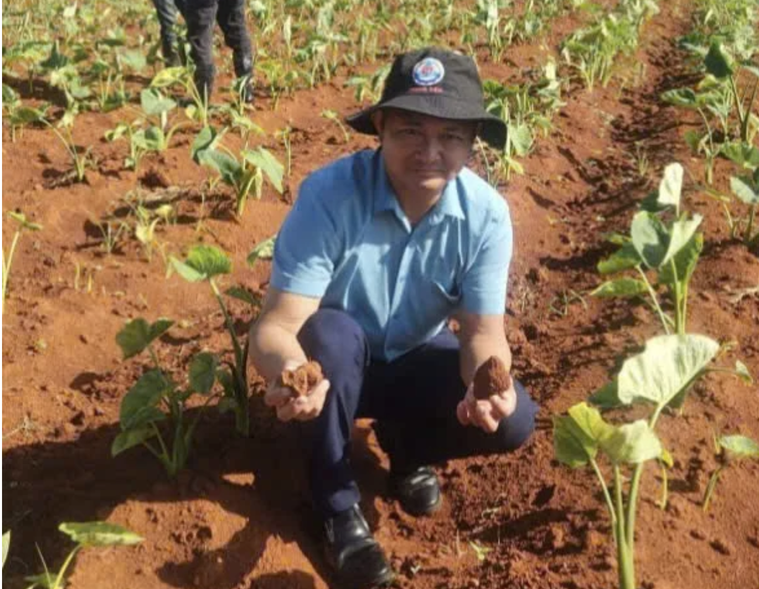 Cuba mở kho 2 . 000 Ha đất cho doanh nghiệp Việt Nam phát triển nông nghiệp - Ảnh 2.