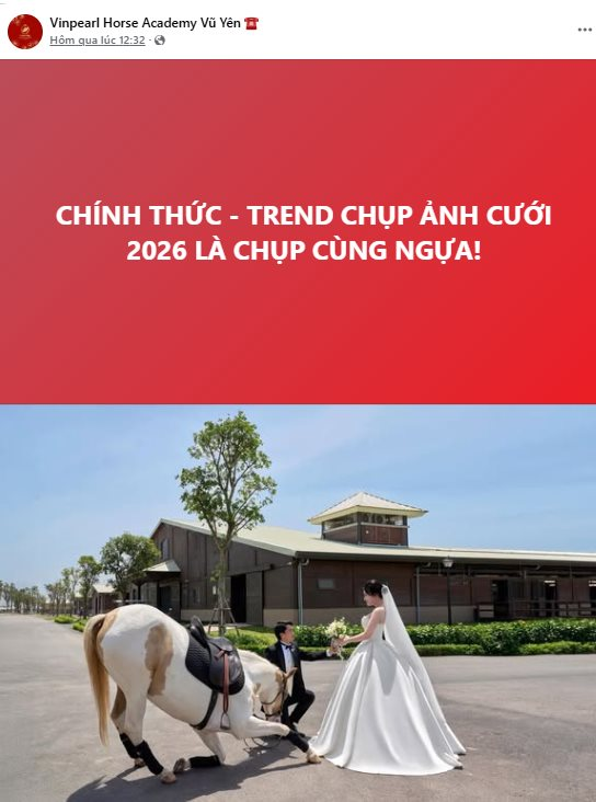 Vinpearl Horse Academy Vũ Yên của tỷ phú Phạm Nhật Vượng khởi động xu hướng chụp ảnh cưới mới - Ảnh 4.