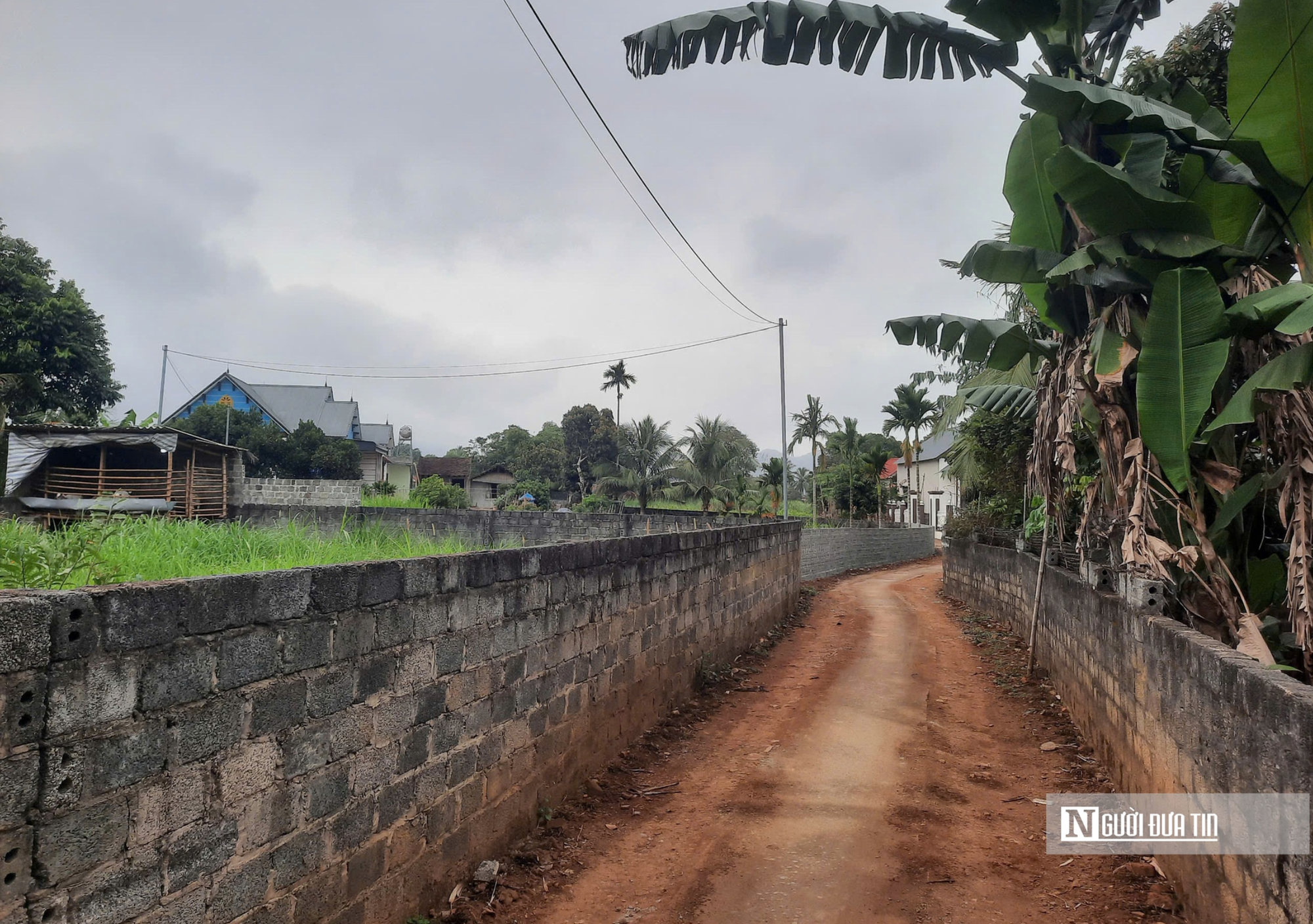 Mẹ và 3 con nhỏ nghi uống trà sữa pha thuốc chuột ở thanh hóa gây chấn động - Ảnh 1.