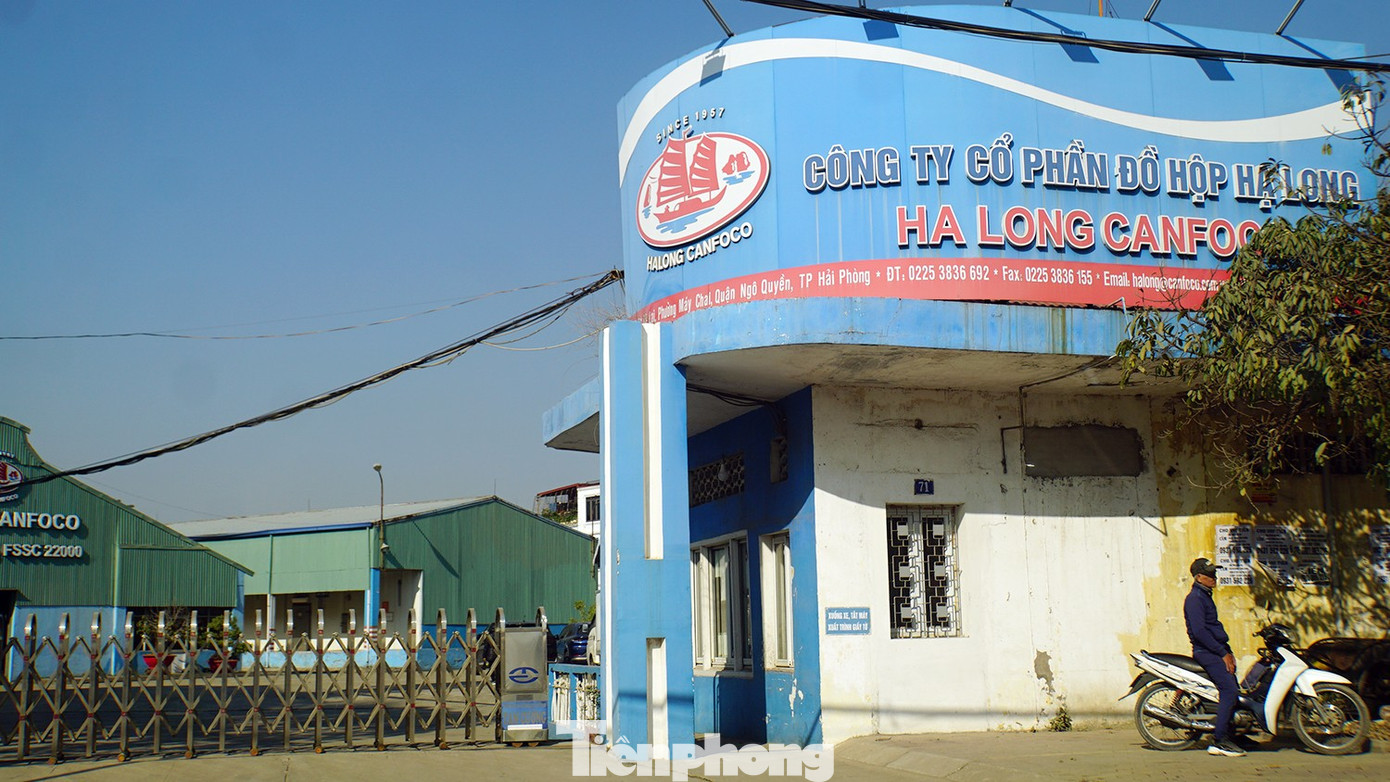 Công ty Đồ hộp Hạ Long bị tuýt còi vì bê bối an toàn thực phẩm lớn - Ảnh 1.