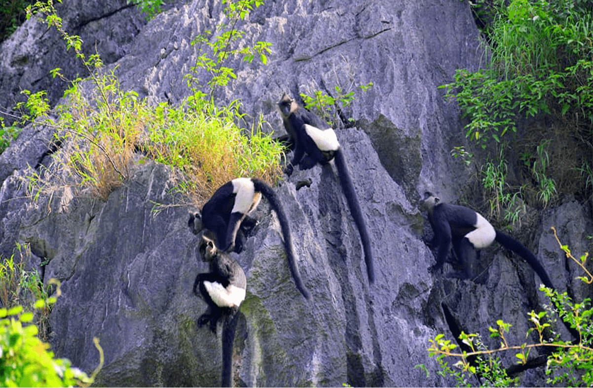 Kỳ tích: Khu đầm lầy lớn nhất miền Bắc rộng 3.000ha, từng xác lập 2 kỷ lục, tiến gần danh hiệu UNESCO - Ảnh 5.