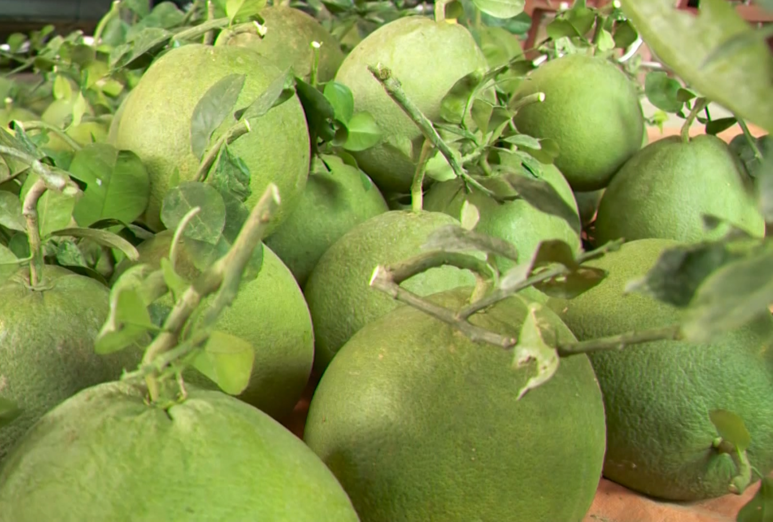 Kỷ lục xuất nhập khẩu 930 tỷ USD: Mở rộng quy mô, đi sâu về chất - Ảnh 2.