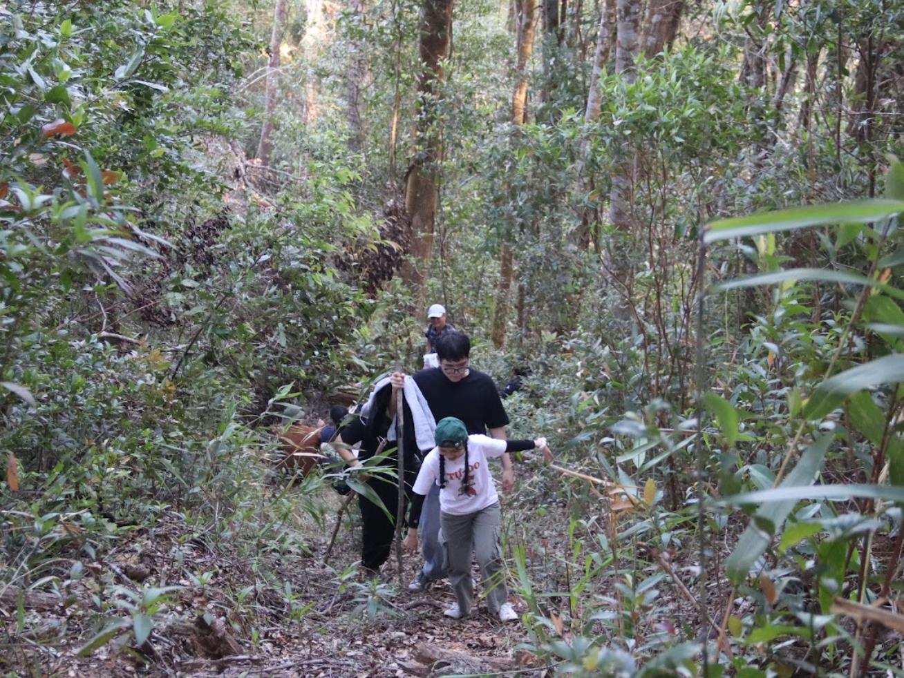 “Ngược ngàn” vào Đak Sơmei: Khi mầm xanh viết tiếp bản tình ca của đất - Ảnh 3. “Ngược ngàn” vào Đak Sơmei: Khi mầm xanh viết tiếp bản tình ca của đất - Ảnh 3.